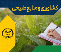 کشاورزی و منابع طبیعی