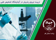 تربیت نیروی پذیرش در آزمایشگاه تشخیص طبی Reception Personel Training For Medical Lab