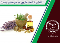 آشنایی با گیاهان دارویی در طب سنتی و مدرن