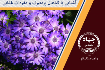 آشنایی با گیاهان پرمصرف و مفردات غذایی