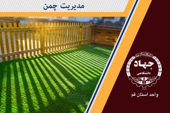 مدیریت چمن